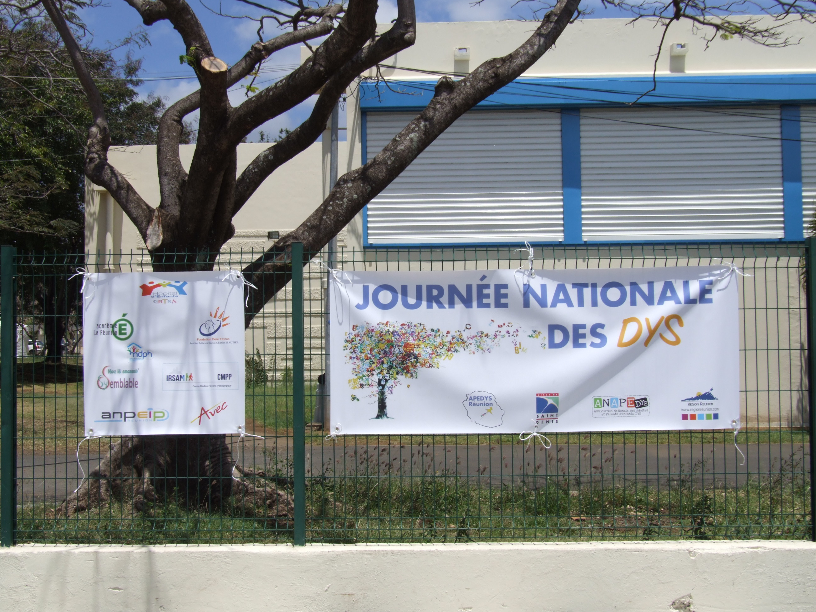 Photo Journee Nationale des Dys 2015 - 2 - Banderoles.JPG
